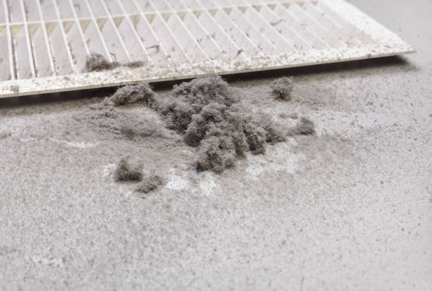 Best Commercial Air Duct Cleaning  in Hoyt Lakes, MN