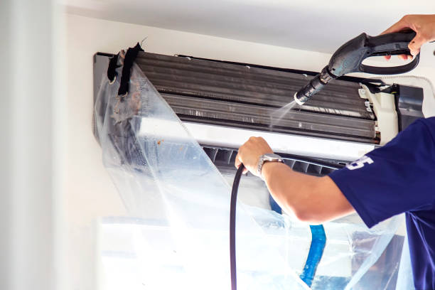 Air Duct Mold Removal in MN