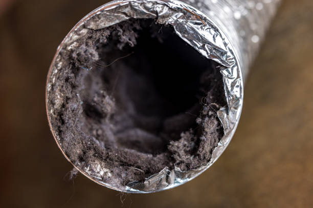 Best Dryer Vent Cleaning Services  in Hoyt Lakes, MN