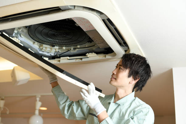 Best HVAC Duct Inspection Services  in Hoyt Lakes, MN