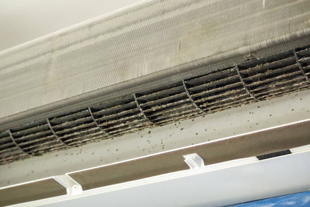 Best Commercial Air Duct Cleaning  in Hoyt Lakes, MN