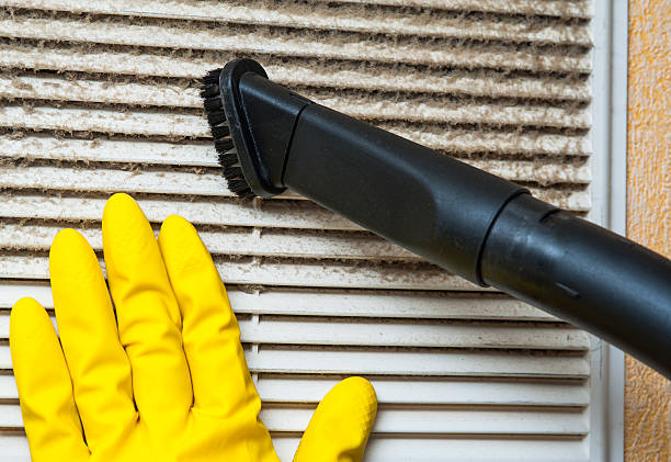 Best Best Air Duct Cleaning Company  in Hoyt Lakes, MN